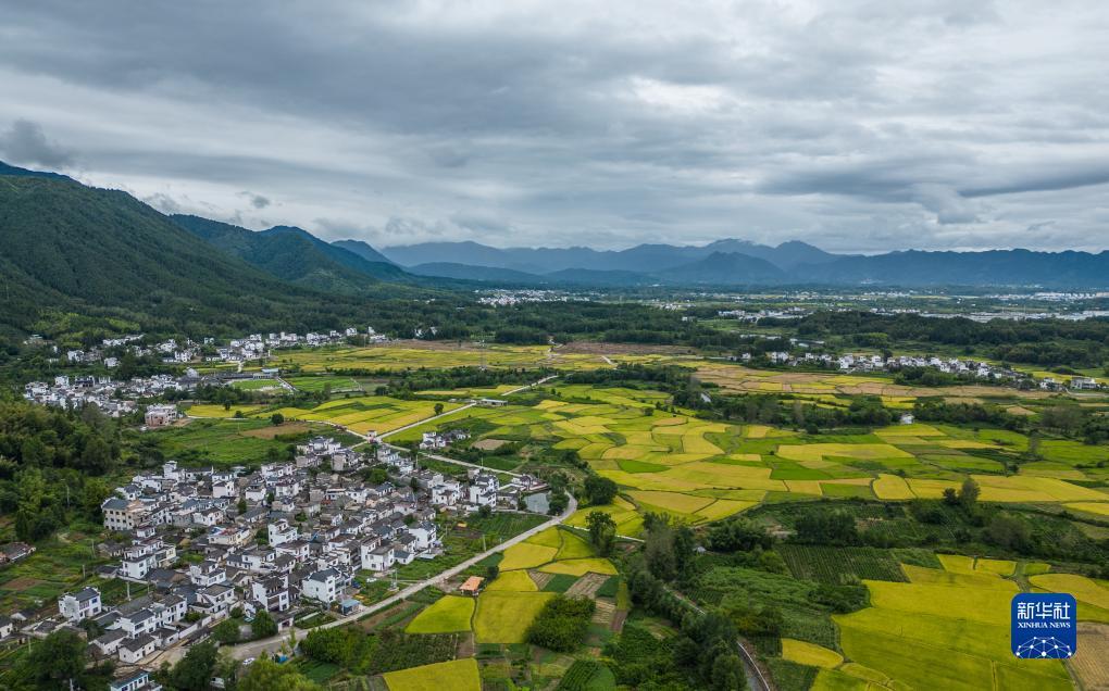 澳门游艇会官